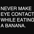 eye_contact_eating_banana.jpg