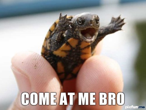 come_at_me_bro.jpg