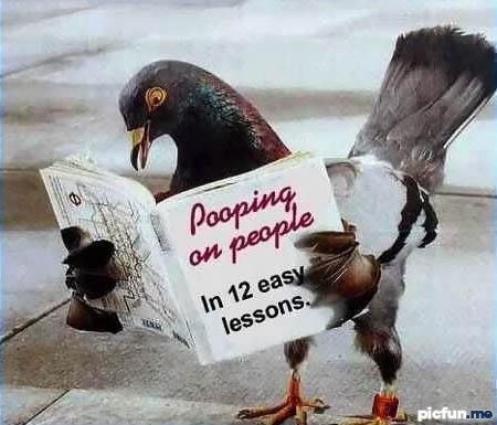 pooping-on-people.jpg