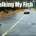 walking-my-fish.jpg