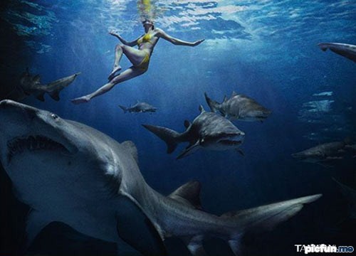 best-tampon-ad-ever.jpg