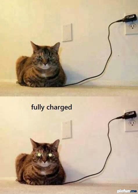 fully-charged.jpg