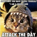 attack.jpg