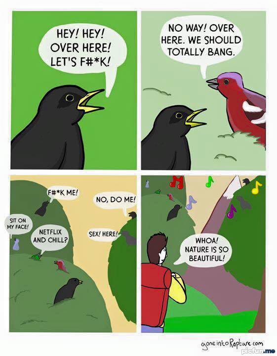 reality.jpg