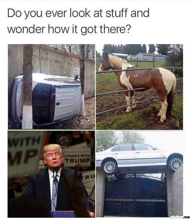 do-you-wander.jpg