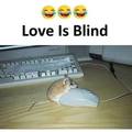 love-is-blind.jpg