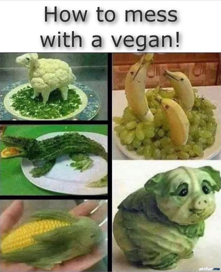 how-to-mess-with-vegan.jpg